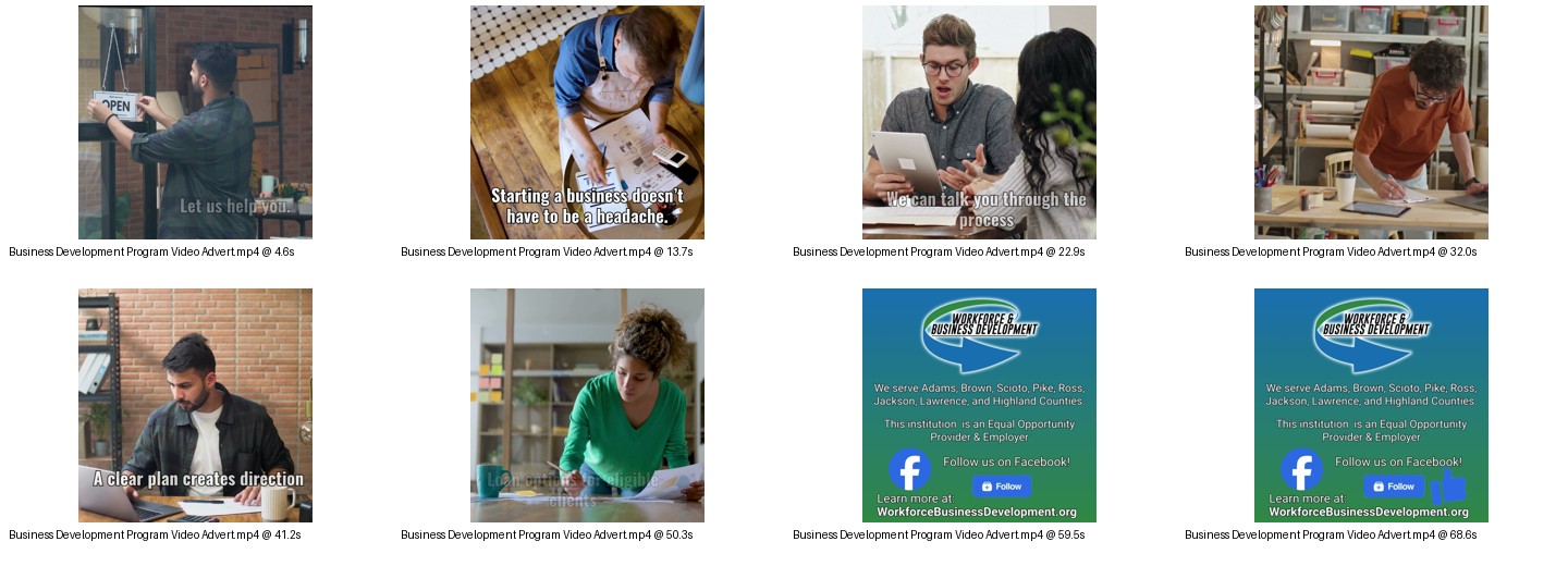Storyboard preview for Business Development Program video advert